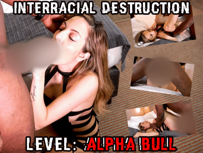 Interracial destruction - Level: Alpha Bull