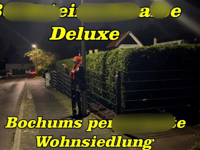Bordsteinschwalbe Deluxe Bochums perverseste Wohnsiedlung